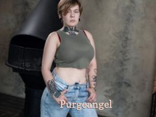 Purgeangel