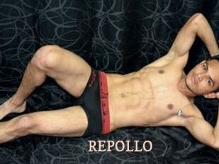 REPOLLO