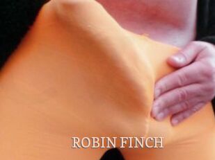 ROBIN_FINCH