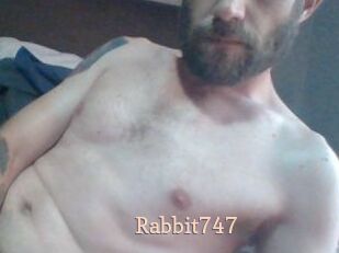 Rabbit747