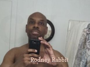 Rodney_Rabbit