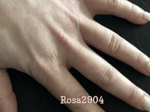 Rosa2904