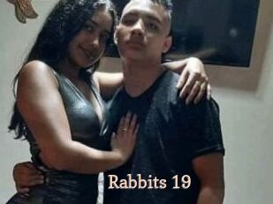Rabbits_19
