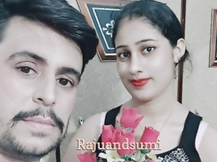 Rajuandsumi