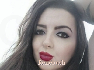 Renebush