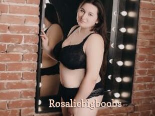 Rosaliebigboobs
