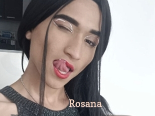 rosana Chaude Vision