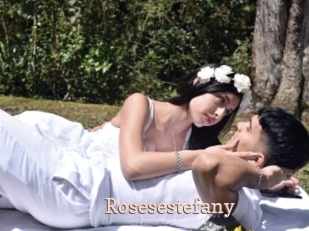 rosesestefany Chaude Vision