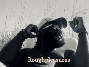 Roughpleasures