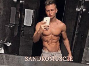SANDRO_MUSCLE
