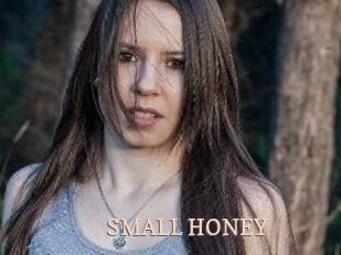 SMALL_HONEY