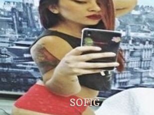 SOFI_G