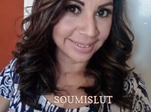 SOUMISLUT