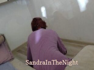 SandraInTheNight