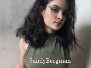 SandyBergman