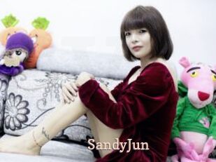 SandyJun Chaude Vision