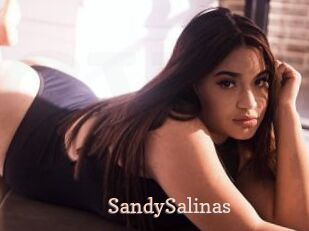 SandySalinas