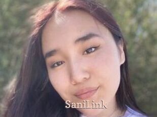 SaniLink