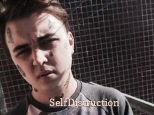SelfDistruction