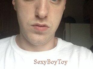 SexyBoyToy