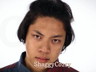 ShaggyCozzy