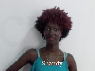 Shandy