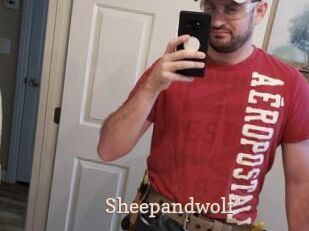 Sheepandwolf