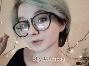 Shy_Mimosa