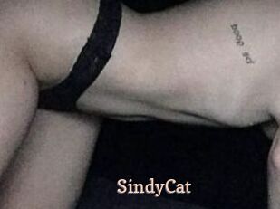 SindyCat