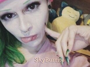 SkyBurrito