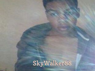 SkyWalker88