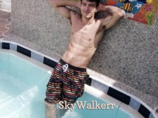 SkyWalkerr