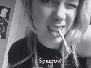Sparrow