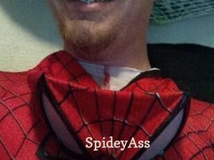 SpideyAss