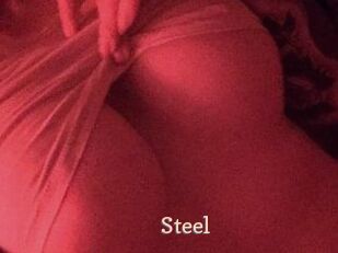 Steel
