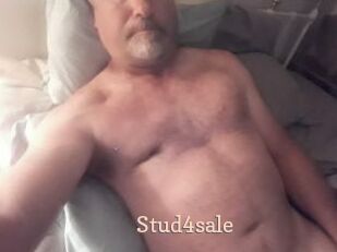Stud4sale