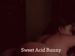 Sweet_Acid_Bunny