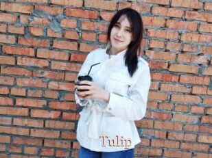 Tulip