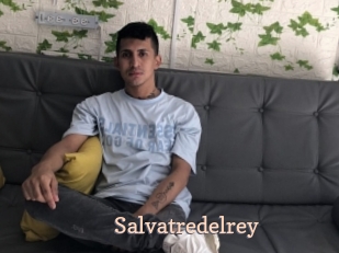 Salvatredelrey