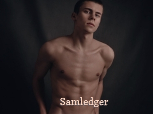 Samledger