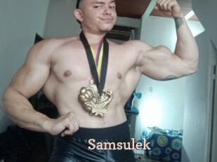 Samsulek