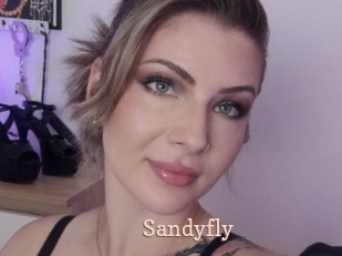 Sandyfly