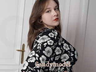 Sandymodel