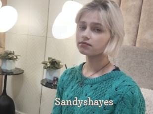Sandyshayes