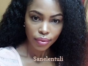 Sanelentuli