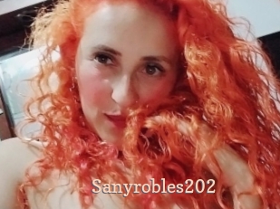 Sanyrobles202