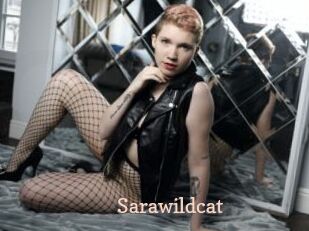 Sarawildcat