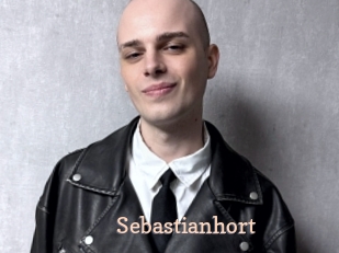 sebastianhort Chaude Vision