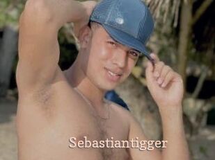 Sebastiantigger