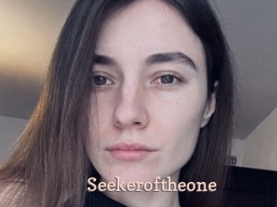 Seekeroftheone